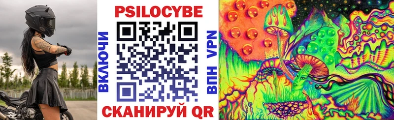 Купить где  Мураши  Псилоцибиновые грибы мухоморы 
